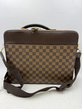 Louis Vuitton Damier Ebene Garment Carrier front view