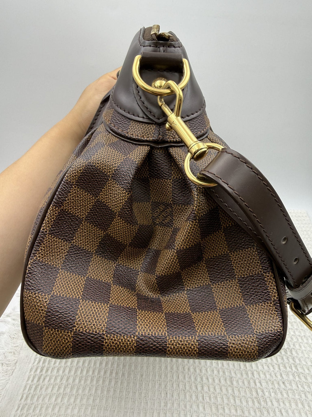 Louis Vuitton Trevi PM - Damier Ebene detail view 5