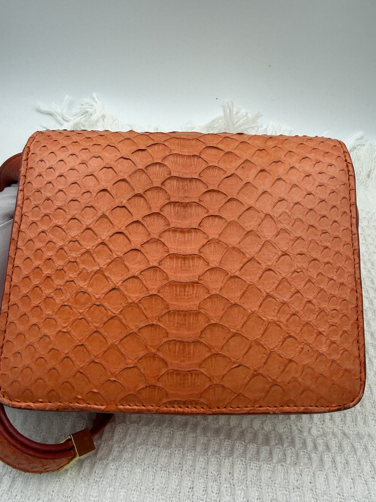 Celine Classic Box - Orange Python and Leather detail view 3