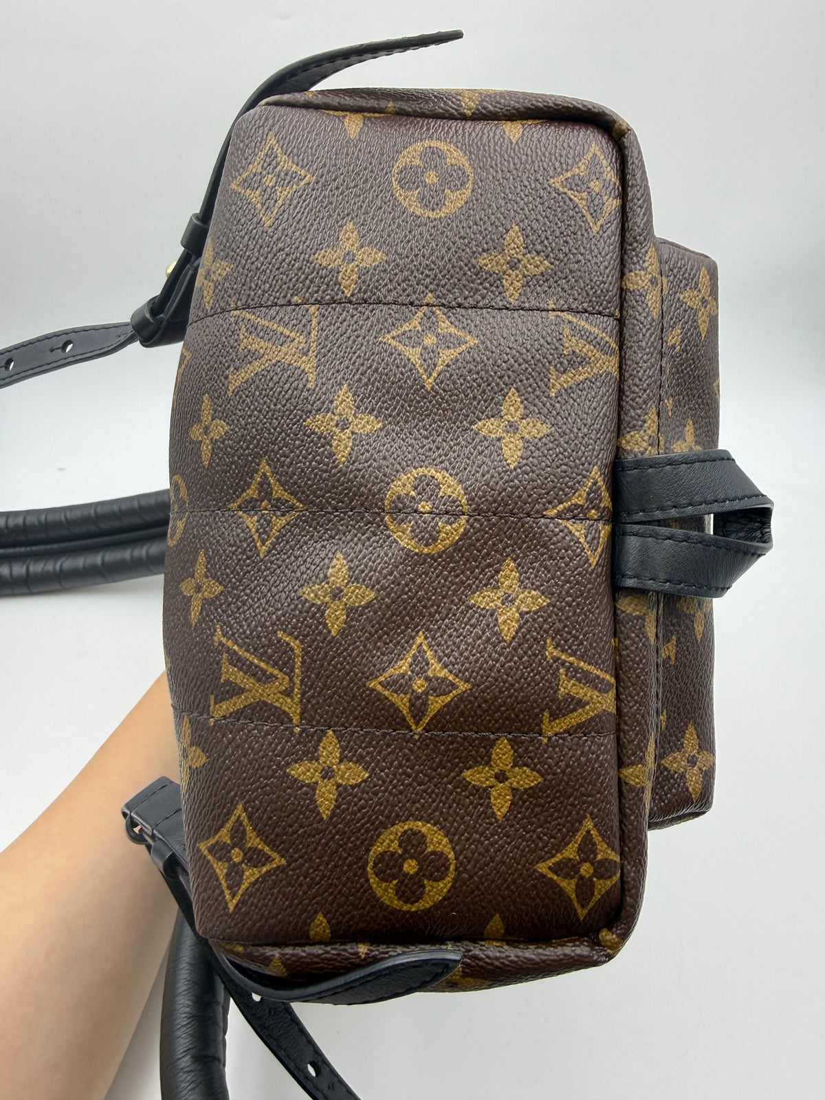 Louis Vuitton Palm Springs Backpack, Monogram brown, stock 0256124 – base